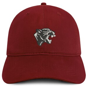 May include: A maroon baseball cap with an embroidered black panther head design.