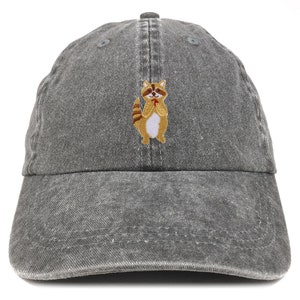 May include: A gray washed denim baseball cap with an embroidered raccoon holding a red heart.