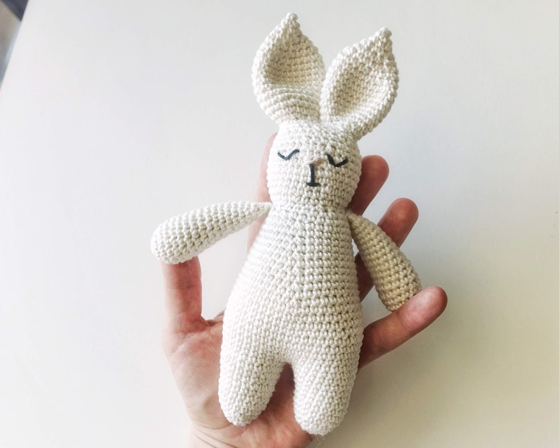 Newborn photo prop or photo session baby boy gift Crochet toy for a baby Personalized crochet bunny Baby rattle bunny Birth gift