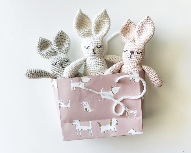 Newborn photo prop or photo session baby boy gift Crochet toy for a baby Personalized crochet bunny Baby rattle bunny Birth gift
