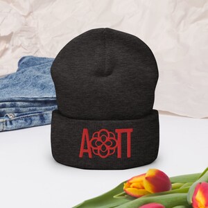 Alpha Omicron Pi Beanies