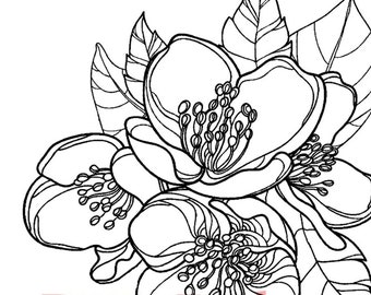 Magnolia Blossom Rubber Cling Stamp