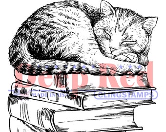 Library Cat Rubber Cling Stamp