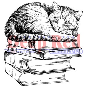 May include: A black and white illustration of a sleeping cat curled up on top of a stack of books. The cat is detailed with shading, and the books have visible pages and spines. The image has a vintage, hand-drawn style.