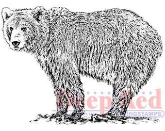 Grizzly Bear Rubber Cling Stamp