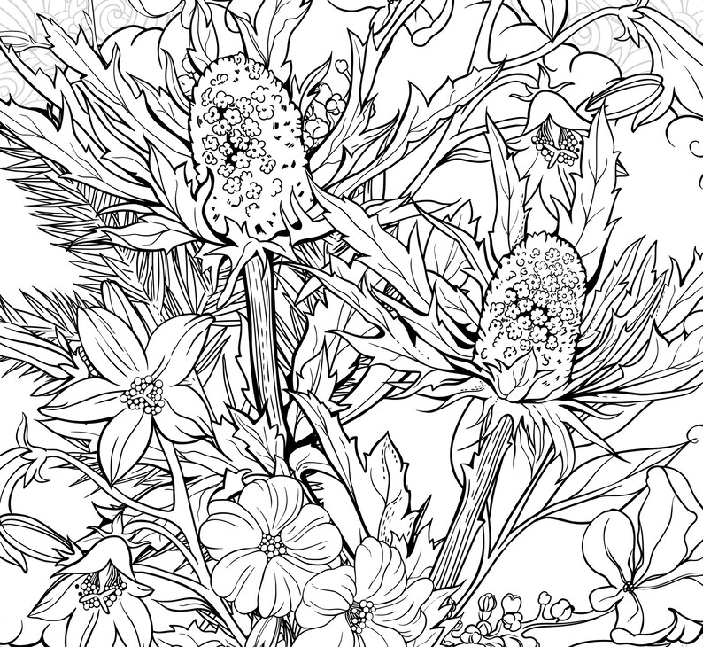 Download Coloring page of bouquet of flowers with thistle. PDF Coloring | Etsy