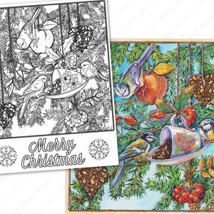 Page de coloriage de Noël avec des oiseaux, page de coloriage PDF, page de coloriage imprimable, page de coloriage adulte, téléchargement numérique