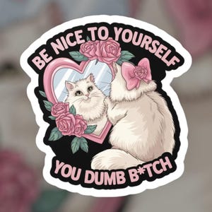 Be Nice To Yourself You Dumb Bitch - Funny Sticker, Meme Sticker, Cat Sticker, Funny Cat Sticker, Dumb Bitch Sticker, Bitch Sticker,