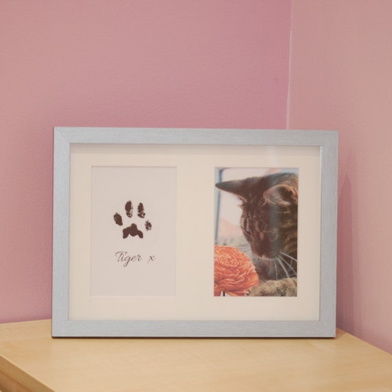 inkless paw print kit
