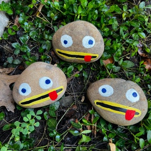 Rock fact garden rock decor paperweight otgw inspired painted rock