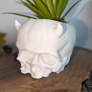Spöklik 3D-utskriven Triclops-dödskallekruka för suckulenter, kaktusar eller små växter - Makabert mästerverk - Rabatterad frakt tillkommer