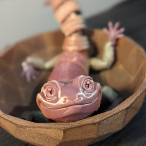 Luipaardgekko| 3D-geprint speelgoed met scharnieren | Fidgetvriendelijk | Schattige Forever Friend-verzending met korting toegepast