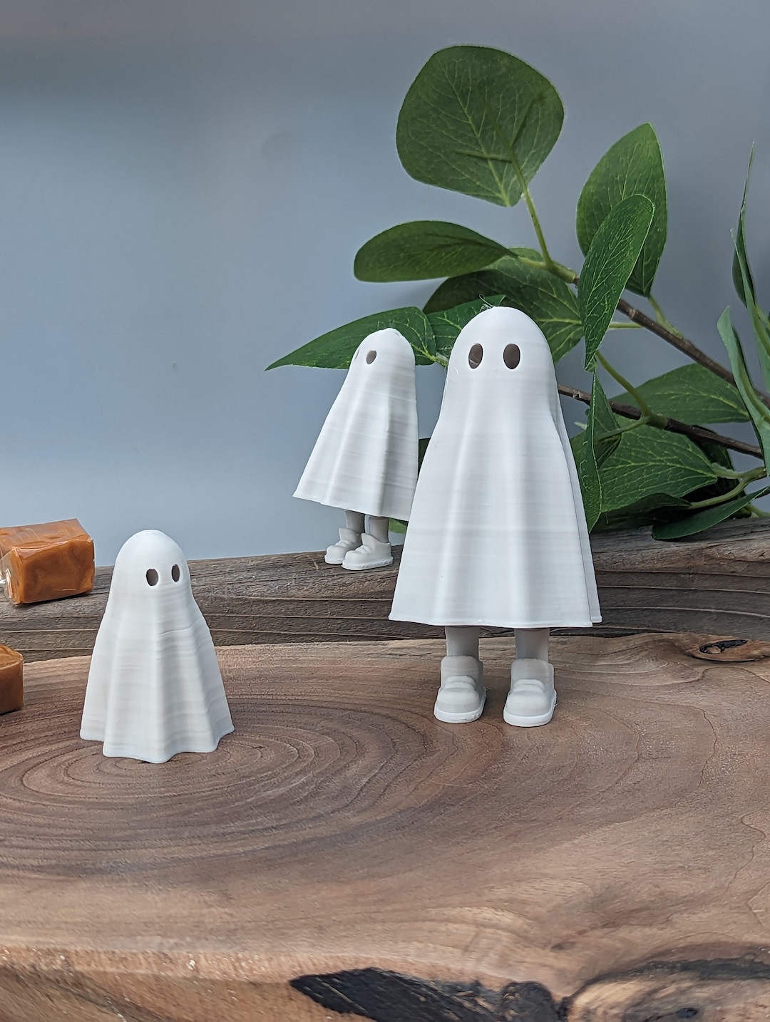 VALIEM WARP GHOST セット 植物鉢】 Valiem GHOST 全種セット | A-PLANTS|塊根植物販売