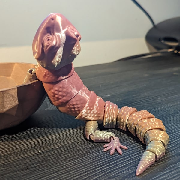 Leopard GECKO| 3D Printed Articulated Toy | Fidget friendly | Ready to Ship | Bio Polymer| Discounted Shipping Applied