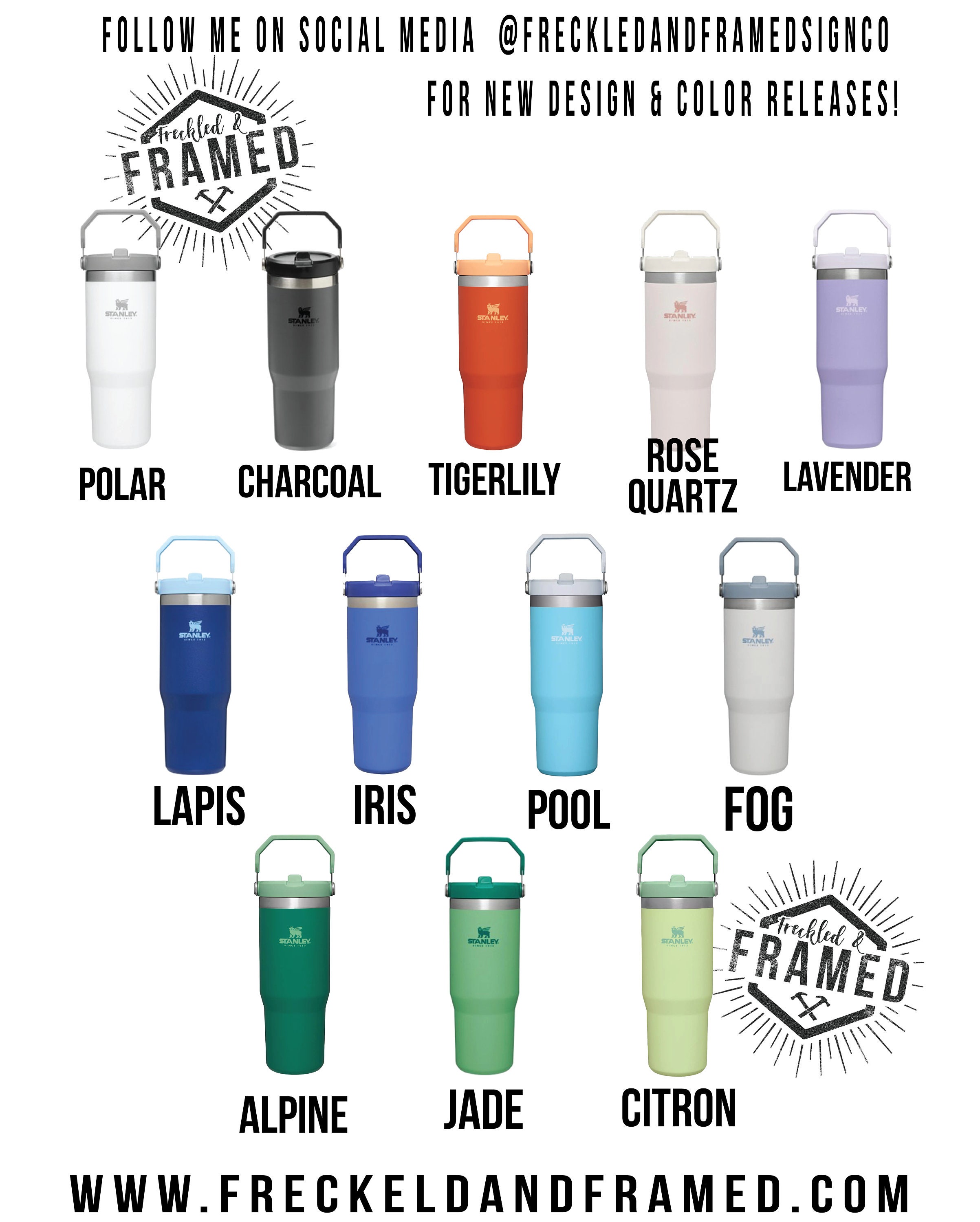 Stanley The IceFlow Flip Straw Tumbler 30 oz Alpine