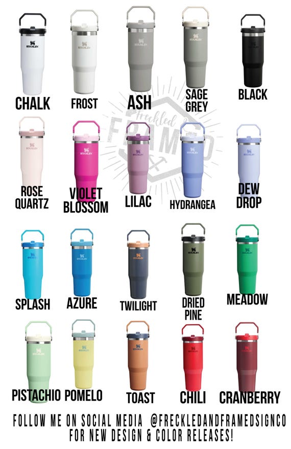 Stanley 40oz Flip Straw Tumbler | Taylor Swift Swiftie Design
