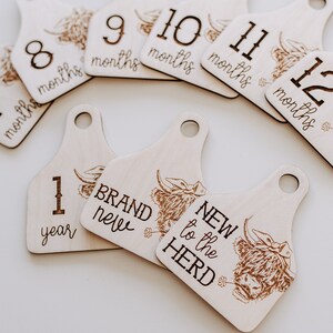 Cow - Cattle Tags Baby Milestone Cards & Personalized Birth Announcement - set of 16 - Wooden Markers - Photo Prop Shower Gift MIL006