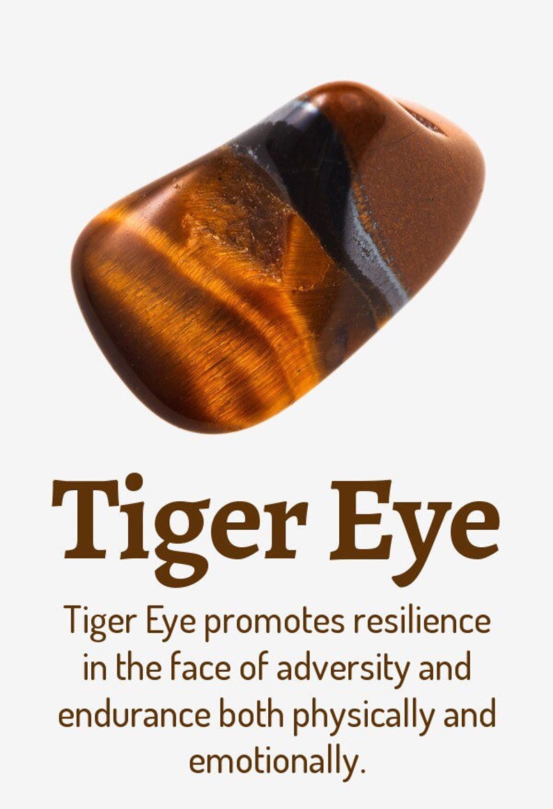 Tigers Eye Tear Choker Chain Pendant Gold Lightweight Alloy Adjustable.