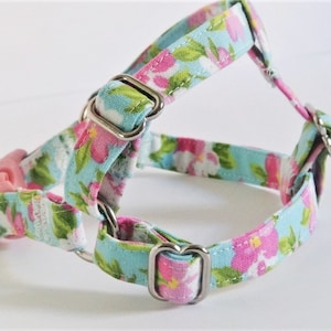 May include: A light blue and pink floral dog harness with silver metal hardware.