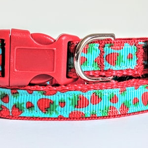 May include: A red and blue dog collar with a strawberry print. The collar has a red plastic buckle and a silver metal D-ring.