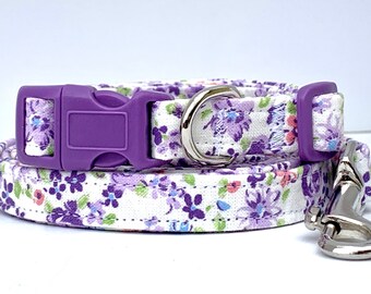 toy poodle collars