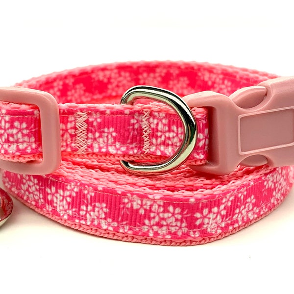 Teacup Dog Collar Etsy