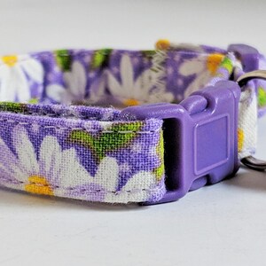 May include: A purple cat collar with a white daisy print and a silver bell. The collar has a purple plastic buckle.