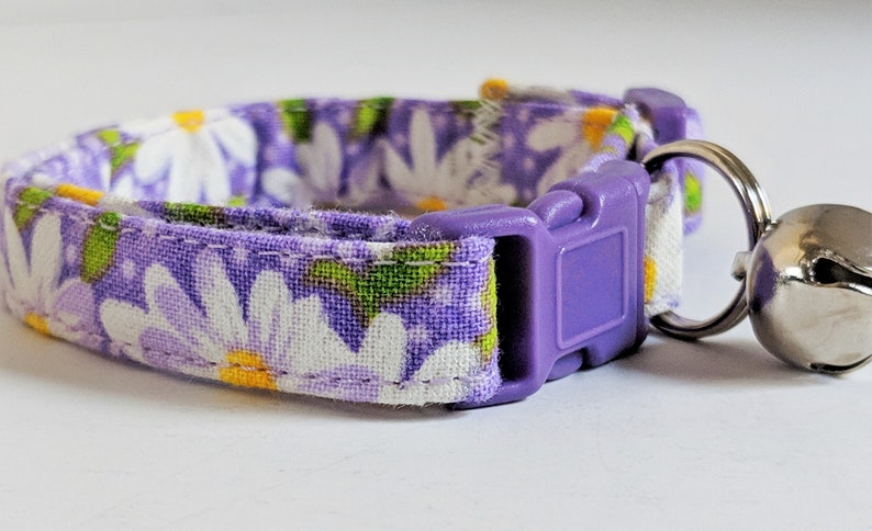 May include: A purple cat collar with a white daisy print and a silver bell. The collar has a purple plastic buckle.
