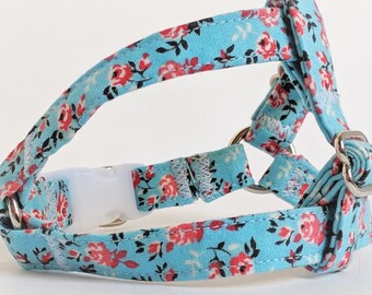 Small Fabric Dog Harness  & (optional) Leash-Lightweight Step In Dog Harness-Blue and Peach Floral Girl Dog Harness - Pretty Dog Harness