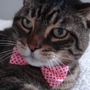 Small Dog or Cat Bow Tie for Valentines Day with Tiny Red Hearts - Pink Slide on Collar Bow Tie for Boy or Girl