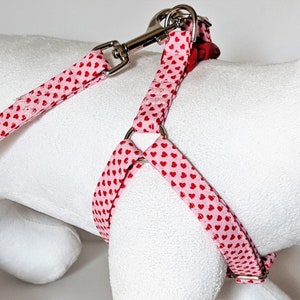 May include: Pink dog harness with red hearts and a silver clip.