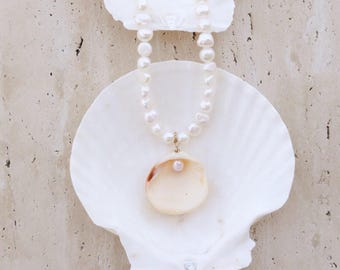 Natural seashell and pearl necklace -  handmade beaded necklace - freshwater pearls