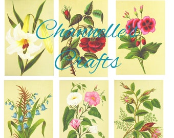 Botanicals Digital Download, Digital Images, Vintage Botanicals, Junk Journals, Scrapbooking, Digital Art, Mixed Media