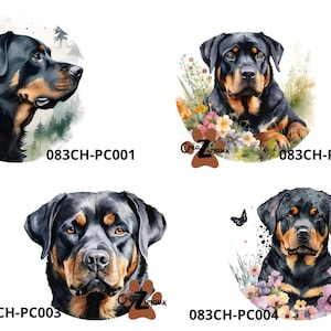 Puede incluir: Cuatro ilustraciones digitales de perros Rottweiler. Cada imagen presenta una pose diferente del perro, con un fondo de acuarela. La primera imagen muestra la cabeza y el cuello del perro, la segunda muestra al perro acostado, la tercera muestra la cabeza y los hombros del perro, y la cuarta muestra la cabeza y el cuello del perro con flores.
