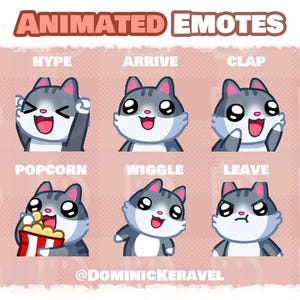 6 High Quality Grey Tabby Cat Animated Emotes for Twitch, Discord