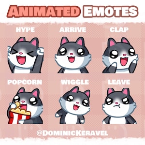 6 High Tuxedo Cat Animated Emotes for Twitch, Discord