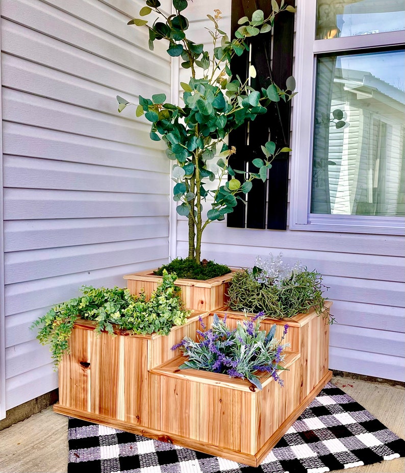 May include: A wooden planter with four tiers, each containing a different type of plant. The planter is made of natural wood and has a rustic look. The plants are all green and leafy, and the planter is sitting on a black and white checkered rug.