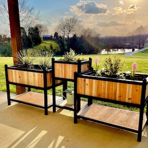 May include: Three wooden planter boxes with black metal frames and legs. The planters are filled with various plants and flowers. The planters are on a patio with a view of a green lawn and a pond in the background.