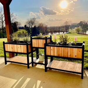May include: Three wooden planter boxes with black metal frames and shelves. The boxes are filled with plants and flowers. The boxes are set up on a patio with a view of a grassy field and a pond.