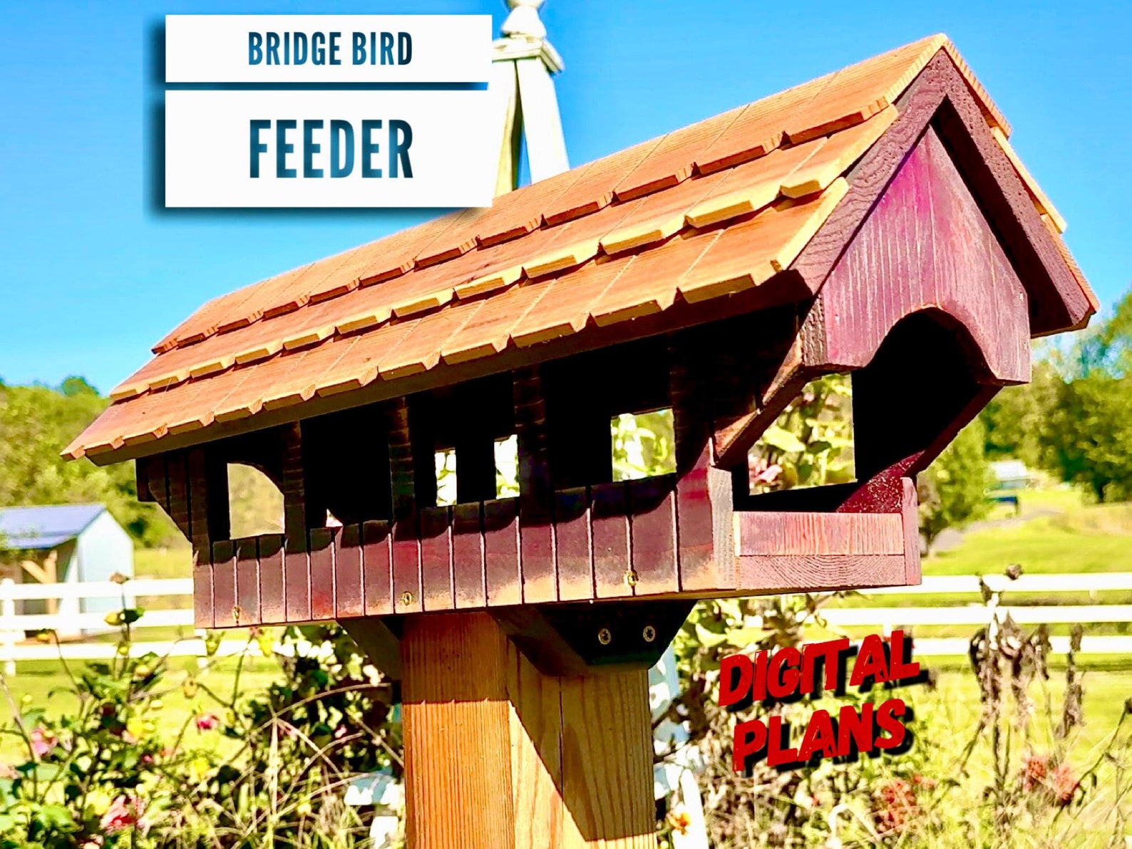 Curated Rope Bridge Birdhouse For Top Macaw Gallery View