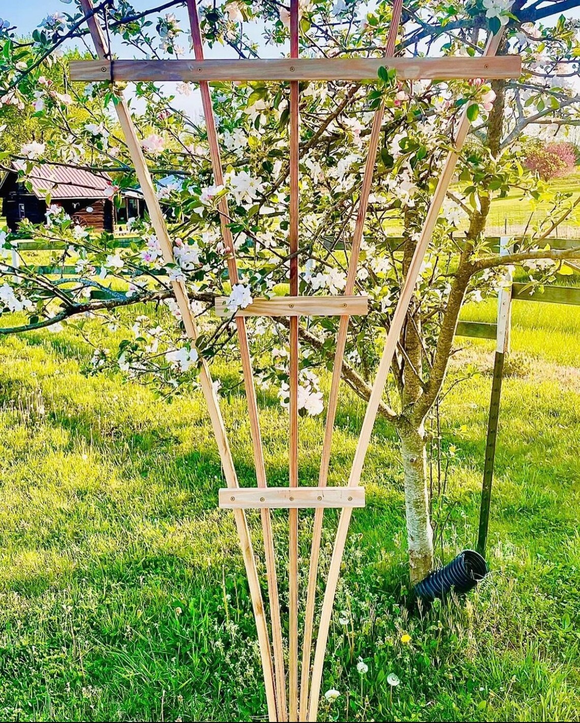 Garden Fan Trellis Plans / Garden Trellis / Trellis Plans / Etsy