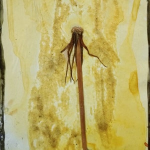 Cartão de colagem reciclado, cartão postal original feito à mão, cartão de felicitações pintado à mão, arte reciclada engraçada, OOAK