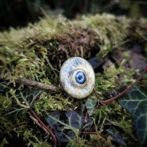 以下が含まれることがあります： 緑の苔とツタの上に置かれた、青い目のデザインが施された銀色の丸いペンダント