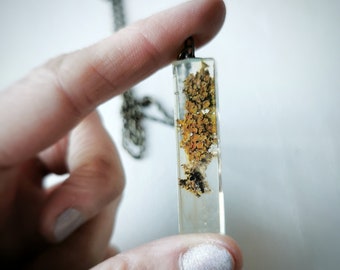 Könnte beinhalten: Ein transparenter rechteckiger Anhänger mit einer silbernen Kette. Der Anhänger enthält getrocknete gelbe und braune Blätter.