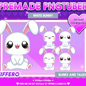 Premade PNGtuber-model Kawaii White Bunny Lite (4 pngs), Vtuber, Twitch, OBS, Veadotube, Discord, Youtube, Stream, Cute, Sweet