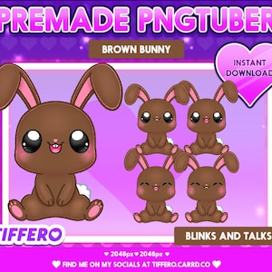 Premade PNGtuber-model Kawaii Brown Bunny Lite (4 pngs), Vtuber, Twitch, OBS, Veadotube, Discord, Youtube, Stream, Cute, Sweet