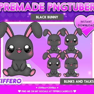 Premade PNGtuber-model Kawaii Black Bunny Lite (4 pngs), Vtuber, Twitch, OBS, Veadotube, Discord, Youtube, Stream, Cute, Sweet