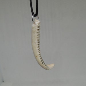 Ancient claw amulet, Ancient suspension, Original Ancient decoration, amulet of power, FREE SHIPPING