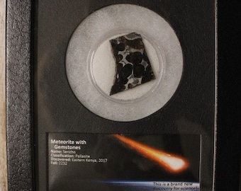 Meteorite Sericho with gemstones slice