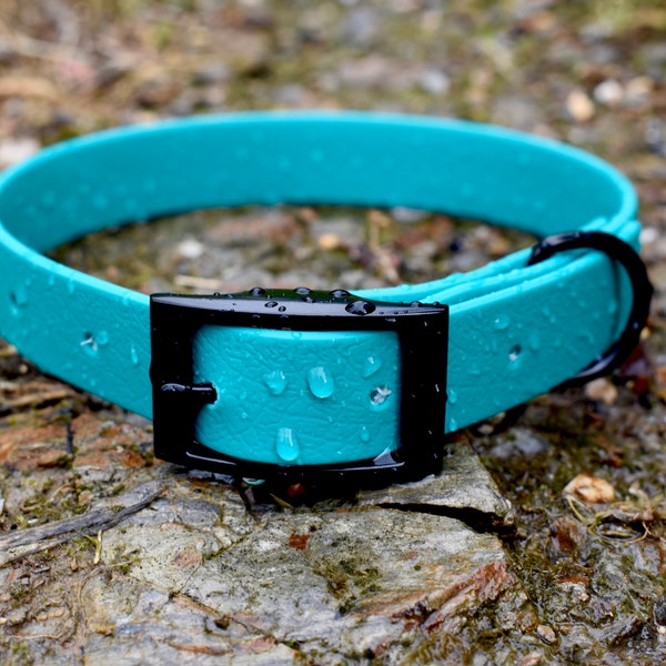 Teal - Basic Dog Collar